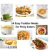 14 Easy Toddler Meals for Picky Eaters