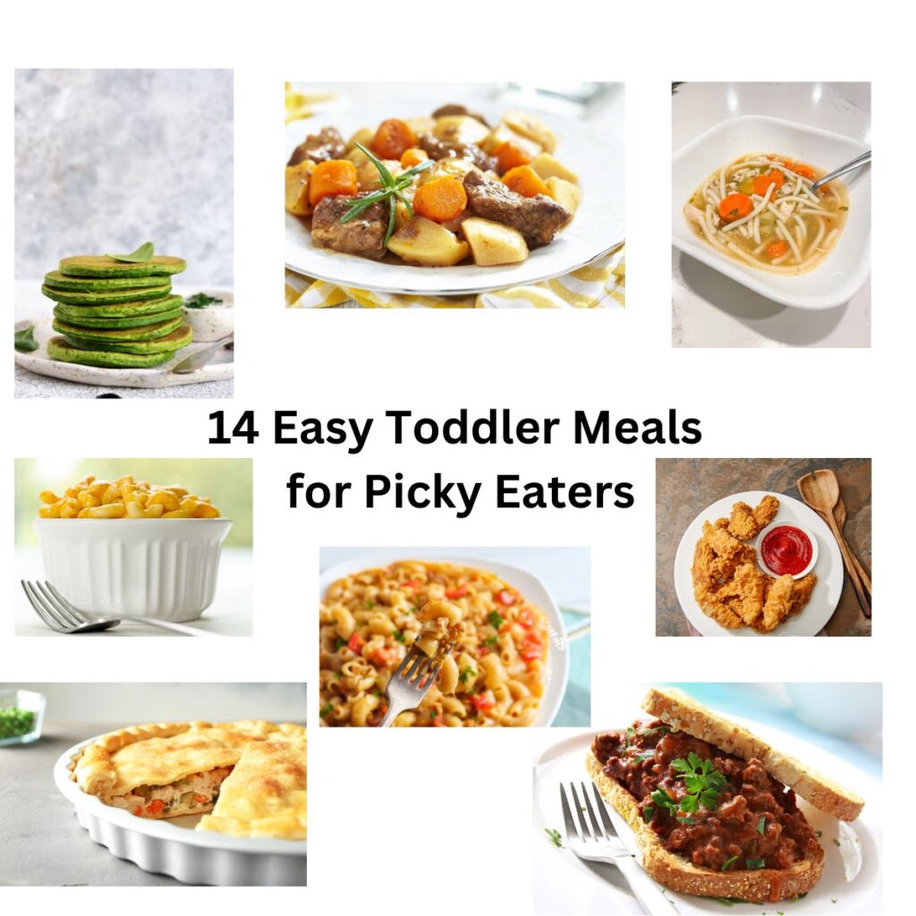 14-easy-toddler-meals-for-picky-eaters-wholesome-family-roots
