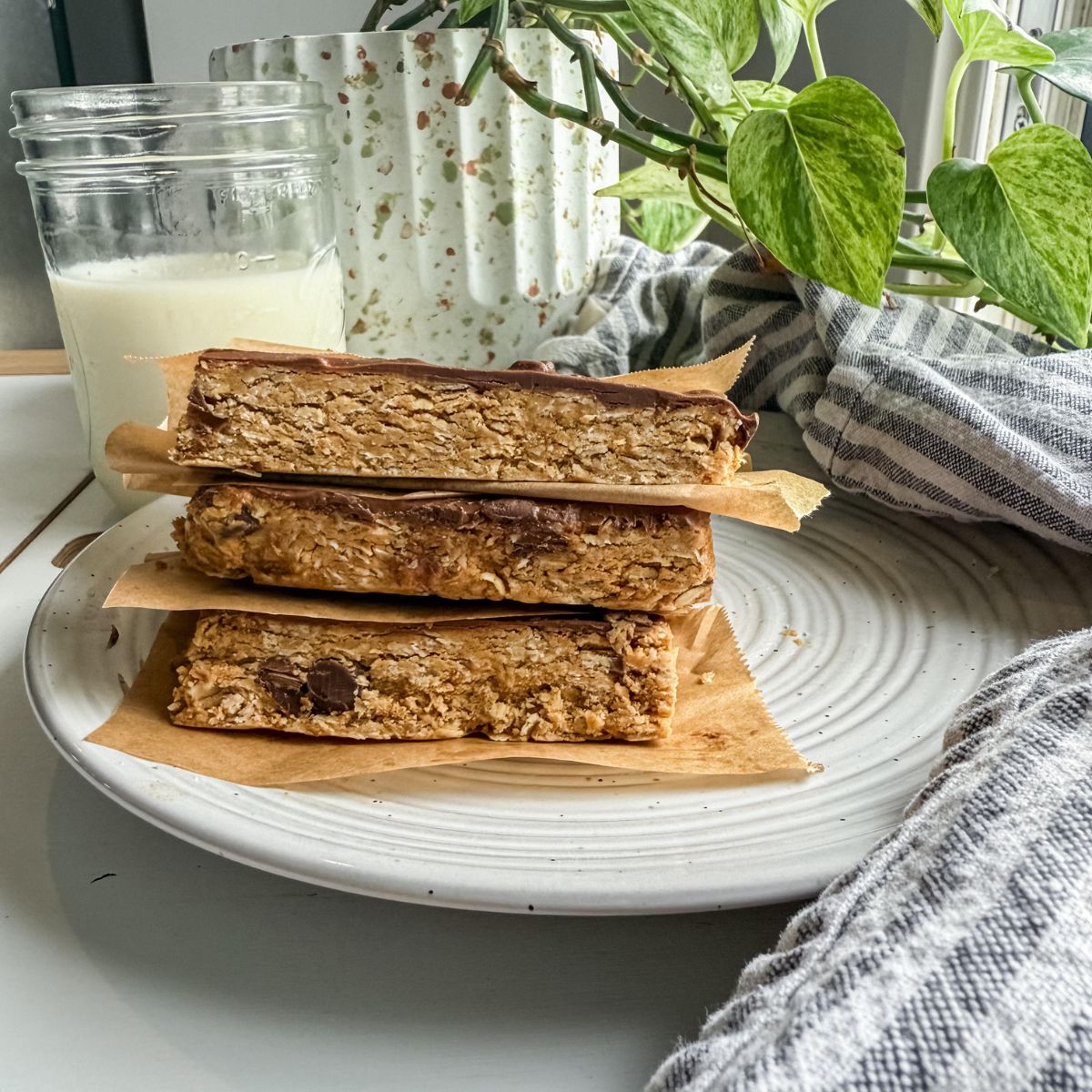 Healthy Protein Pack & Gut Healing Chewy Granola Bars